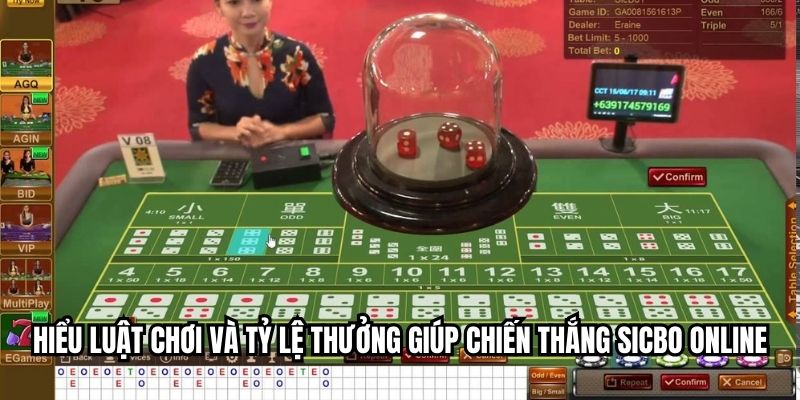 Hiểu luật chơi và tỷ lệ thưởng giúp chiến thắng sicbo online